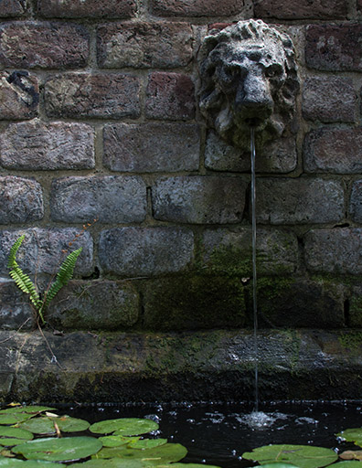 wall with lion head fountain going into a pond with lily pads